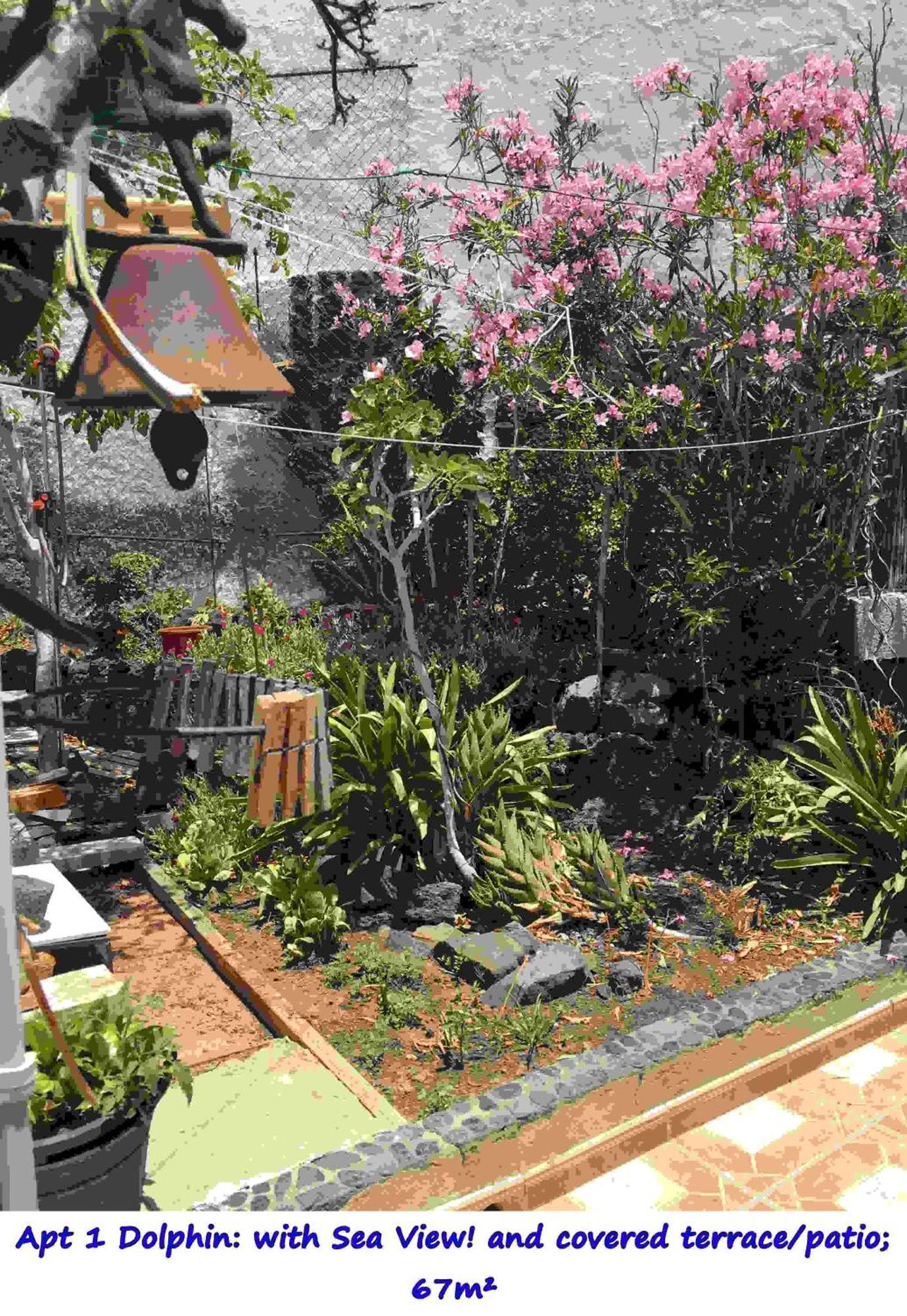 Casa Las Playitas -Clp- Best Sea View - In 1 Minute Ocean Las Playas Exteriér fotografie